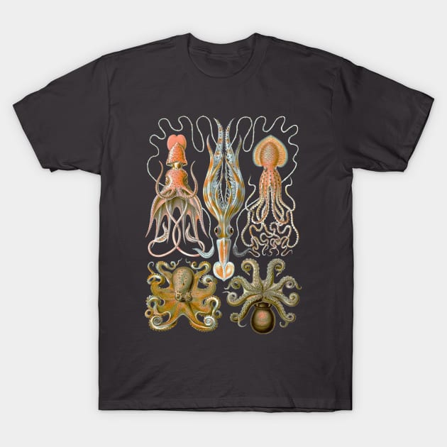 Ernst Haeckel Octopus Gamochonia Natural T-Shirt by Scientistudio